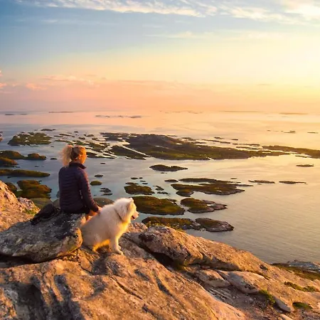 Gulbrakka Basecamp * Glomfjord